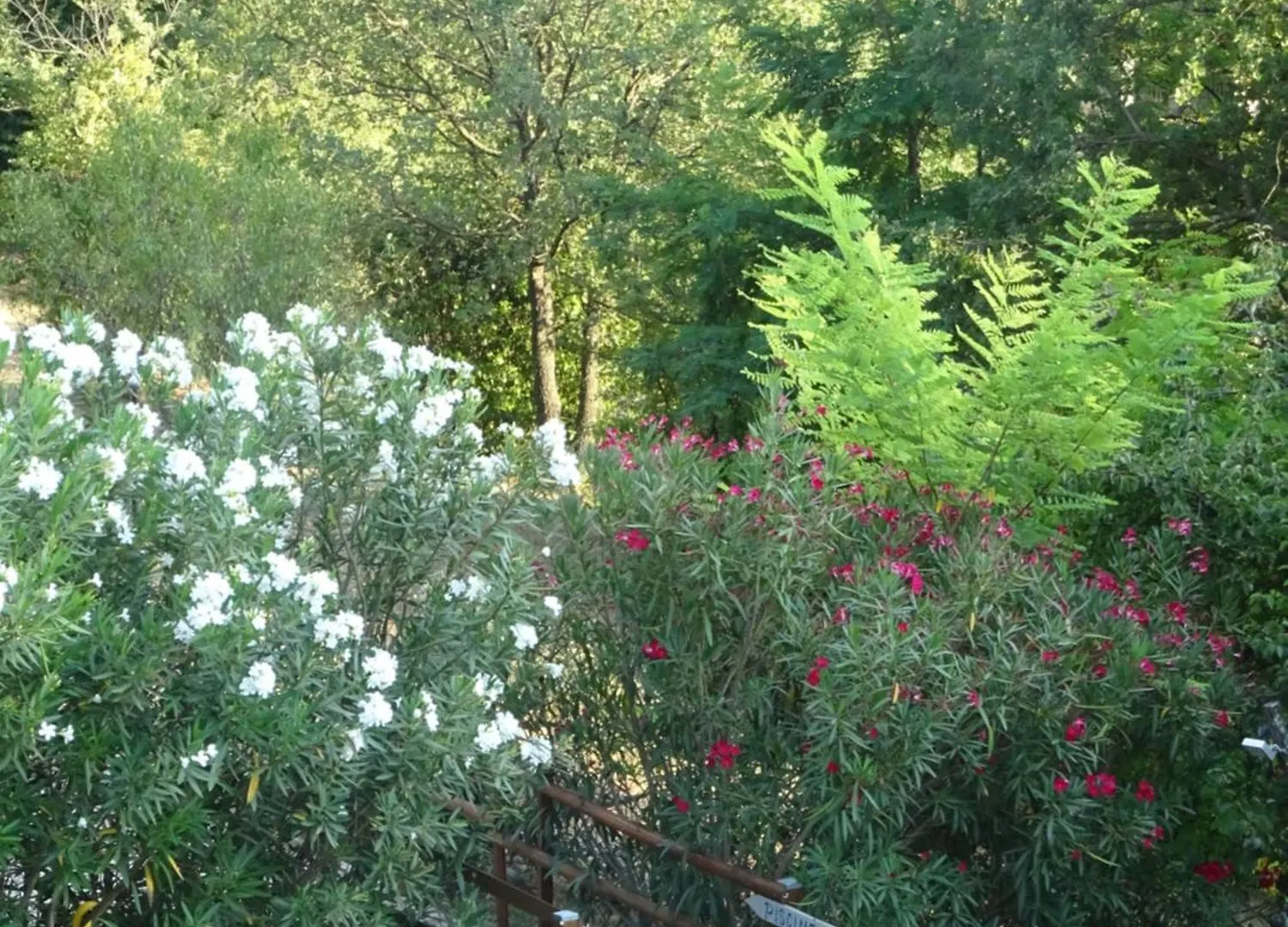 Villa Les Ecrins D'Aix-En-Provence Frankreich